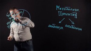 БИОЛОГИЯ 9 класс. Метаболизм