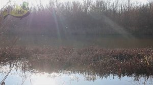 Когда НАЧИНАЕТСЯ нерест у щуки весной?  Клюет ли щука в нерест Как ловить щуку весной в нерест?