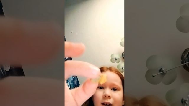 улитка и маленькая улитка смотреть онлайн