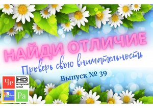 "Найди отличие" _ выпуск № 39