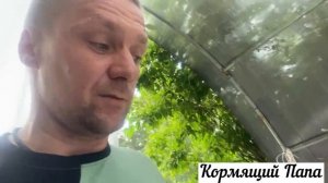 Секреты покера на самом деле просты