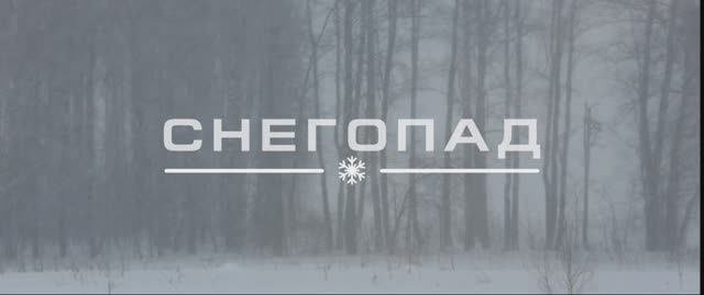 Снегопад