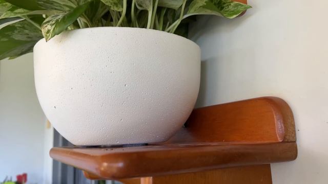 CASCATA DE JIBOIA BRANCA. DECORAÇÃO COMPLETA, COM MEDIDAS DAS PRATELEIRAS. Ateliê Florescer смотреть онлайн