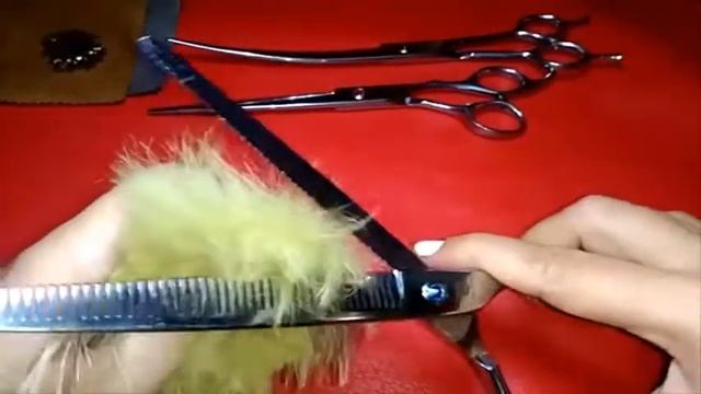 Ножницы для груминга с AliExpress. Обзор