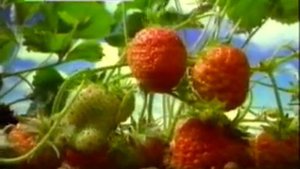 Что такое вода? - энциклопедия для детей