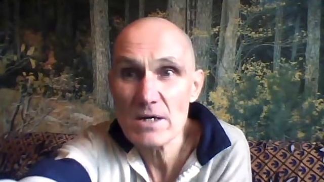 Перестаньте квасить зерно: Проращивание как в природе пшеницы, злаков, бобовых, семян