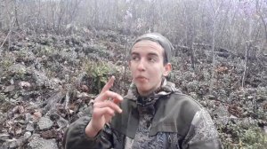 Рододендрон даурский.Облучье.