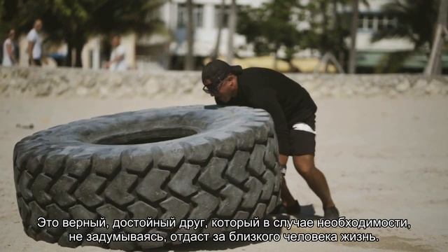 Немецкий ягдтерьер