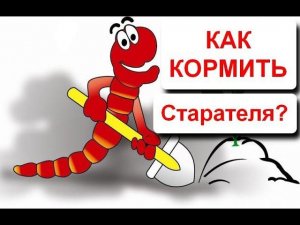 Готовим корм для червя Старатель. Червеферма Купольного Дома Вегетария