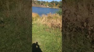 Пятовский ставок