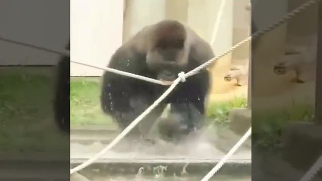 Твоё состояние на рабочем месте, когда знаешь, что завтра можно можно будет как следует выспаться
