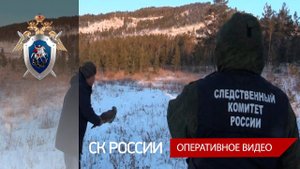 В Бурятии следователи выпустили на волю редких птиц, изъятых при задержании у браконьеров
