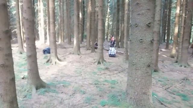 Snowdog pulls log in Czech forest, and riding sport trailer смотреть онлайн