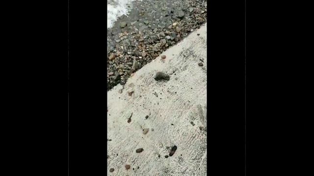 Рыбный рынок Батуми в карантин. что делать, когда рестораны не работают, а дома рыбу жарить не охот смотреть онлайн