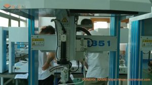 Ruichi Standard Soldering Robot with CCD R351C