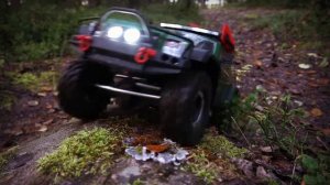 Redcat Gen7 Pro - Thru the forrest - Scale Crawling