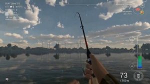 Лещ на фидер на канале Гент-Тернезен fishing planet