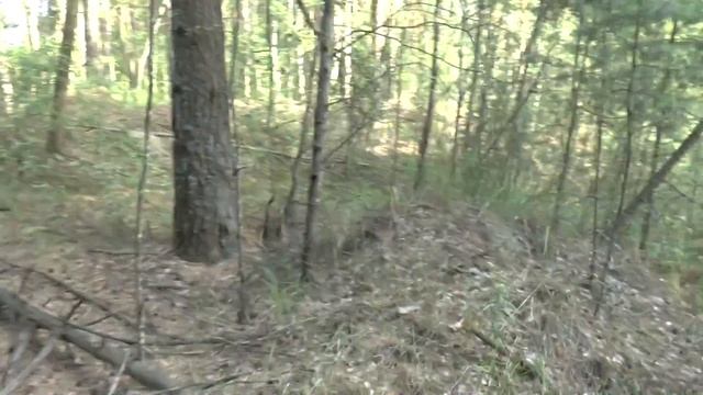 Клинцы. Войсковые части города.