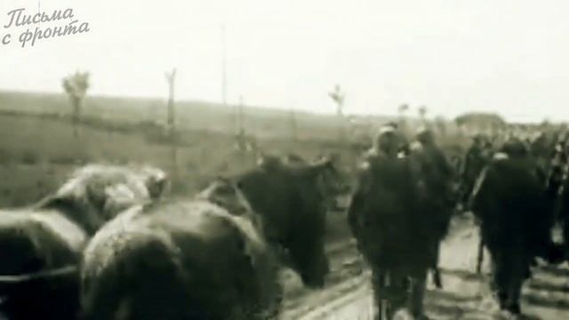 Прощальное письмо МАТЕРИ от бойца Добровольческого полка. смотреть онлайн