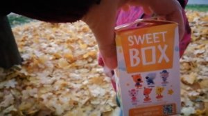 МИ-МИ Мишки. Свит Бокс. Новая коллекция. Распаковка и обзор.