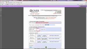 Указания по заполнению .pdf анкеты эндорсерства AGNER Swissdrumsticks на компьютере