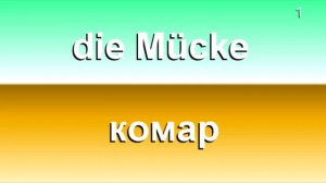 1. Словарный запас B1. Немецкий с Боженой Корн