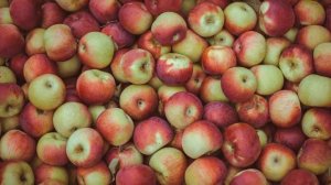 КАК ИЗБАВИТЬСЯ ОТ ТОШНОТЫ И РВОТЫ!