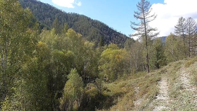 Релакс старый Чуйский тракт 2023 Футаж 199 смотреть онлайн