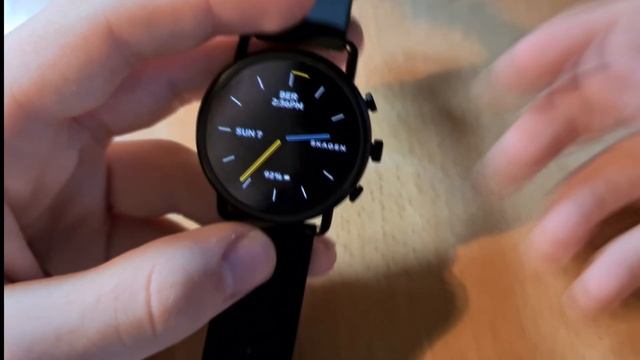 Skagen Falster 3 (X by Kygo) Testbericht: Elegant und rasant смотреть онлайн