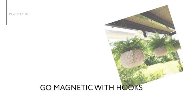 How to Hang Plants From a Ceiling Without Drilling?