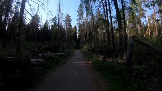 Солидные байки. Про ДПС и новый велик. смотреть онлайн