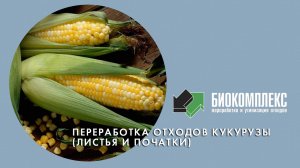 Переработка отходов кукурузы (листья и початки)