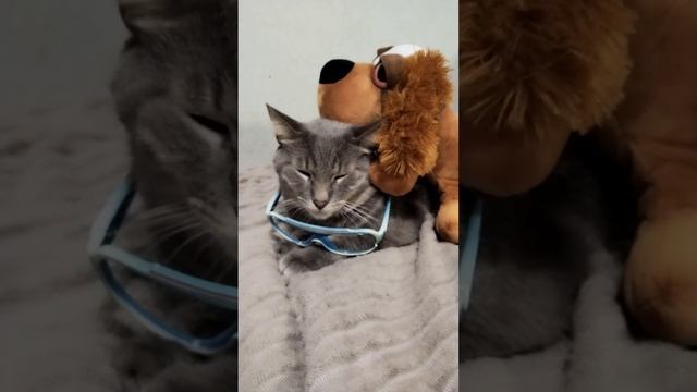 "БАРАНКИН" 5 Часть [1 СЕЗОН] смотреть онлайн