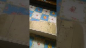 Самодельная полка в УАЗ, над лобовым стеклом