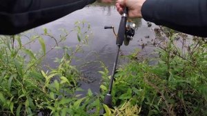 КАРАСЬ И МНОГИЕ ДРУГИЕ ВИДЫ РЫБЫ НА МИКРОКОЛЕБАЛКИ! РЫБАЛКА НА СПИННИНГ!