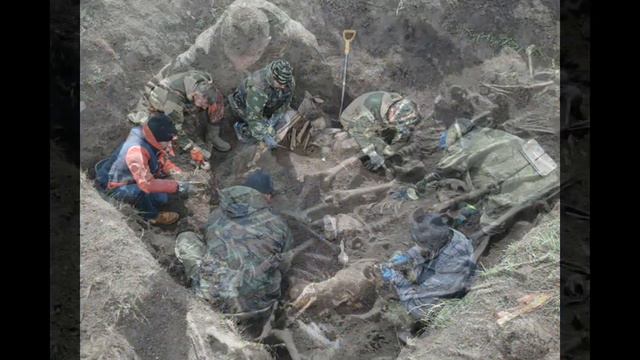 Анастасия Сашкина  Поисковик
