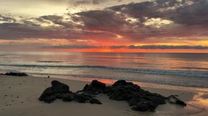 Perfect Sunrise at the Beach with Calming Sound of Waves  4K Ultra HD