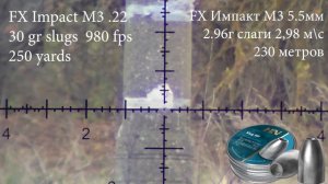 FX Impact M3 .22 slugs to 250 yards shooting