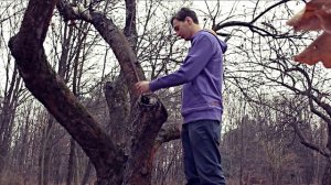 Афанасий Фет - Ель рукавом мне тропинку завесила...