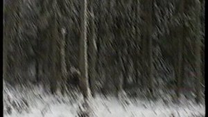 Погибший Су-24под Гдовом д.Мышка