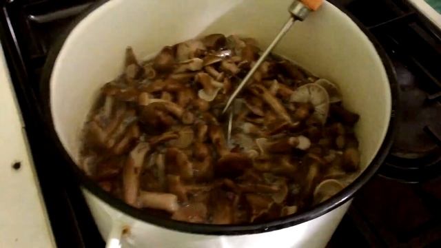 Кулинария.Быстро и Вкусно.Маринованные опята.