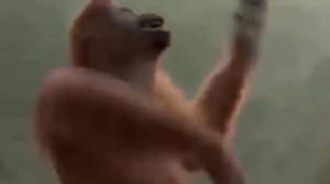 Песня про субботу