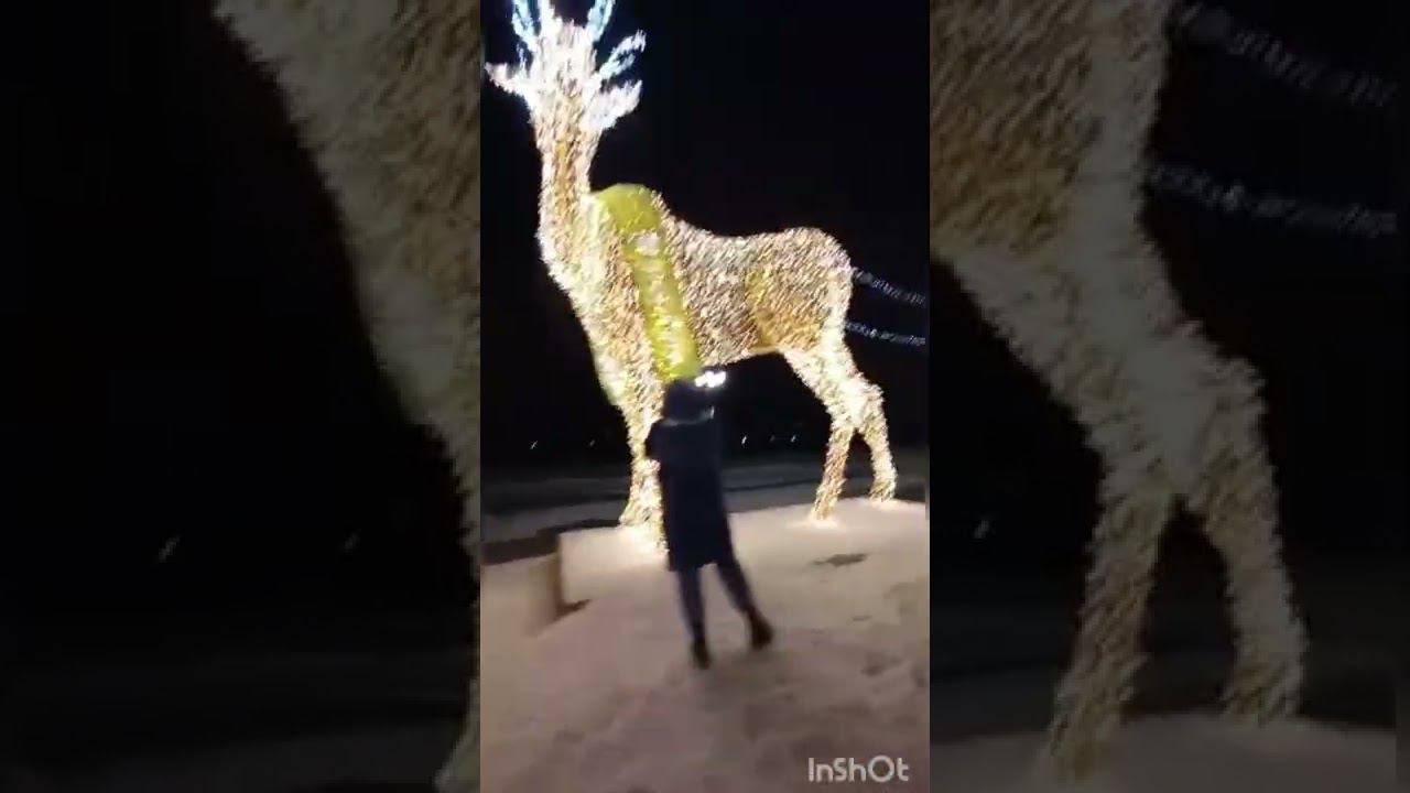 Красивые светящие олени смотреть онлайн