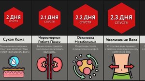 Если Вы Не Будете Пить Воду