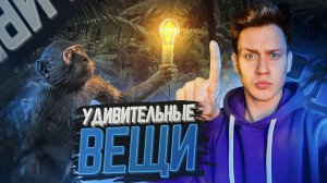 Удивительные вещи, в которые сложно поверить