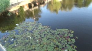 рыбалка в  Краснодарском крае  на реке Пеленгас  Лобан на удочку Анапа  июль 2021