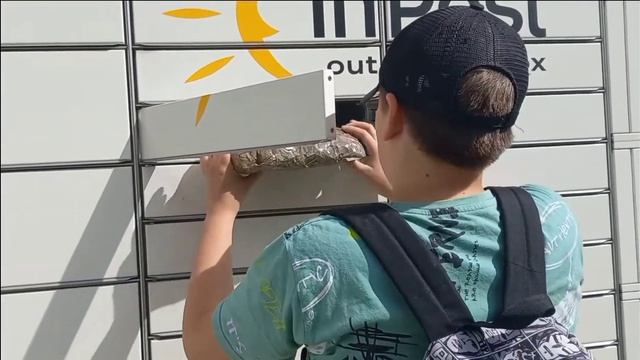 Рыба тарань, верховодка!!Польша, что делать если очень хочется? смотреть онлайн