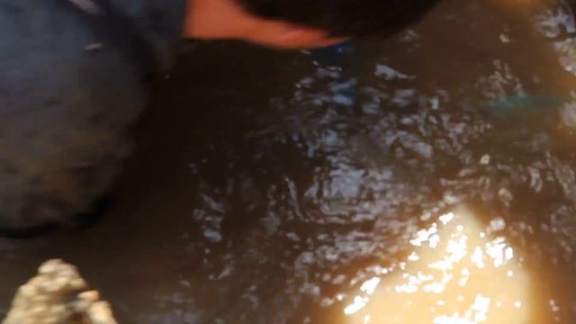 самоизлив под 100 м3/ч, обустройство