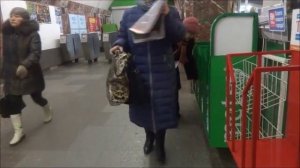 Распространение газеты Metro Новосибирск станция метро Маркса_22.11.2016