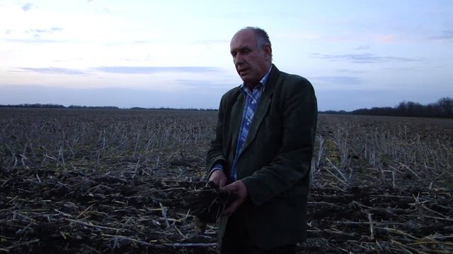 Подсолнечник в засушливых условиях. Подготовка к посеву и посев смотреть онлайн